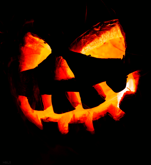 citrouille-halooween Citrouille d'Halloween chez Bernard Gisquet