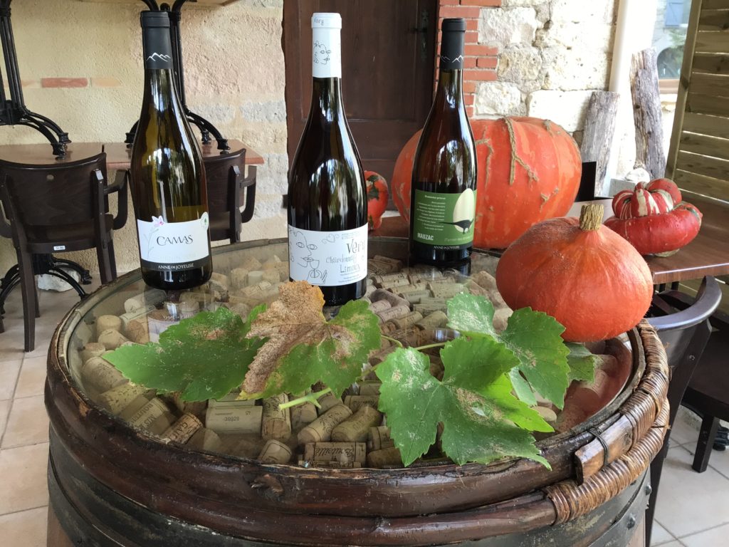 Trois bouteilles de vins blancs de la cave du restaurant Lou Cantoun de Bernard Gisquet